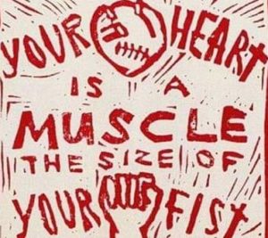 A graphic, your Heart is a muscle the size of your fist