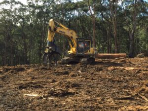 A bulldozer clearing forest